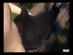 Gay beastiality lover fucking a dog in the ass